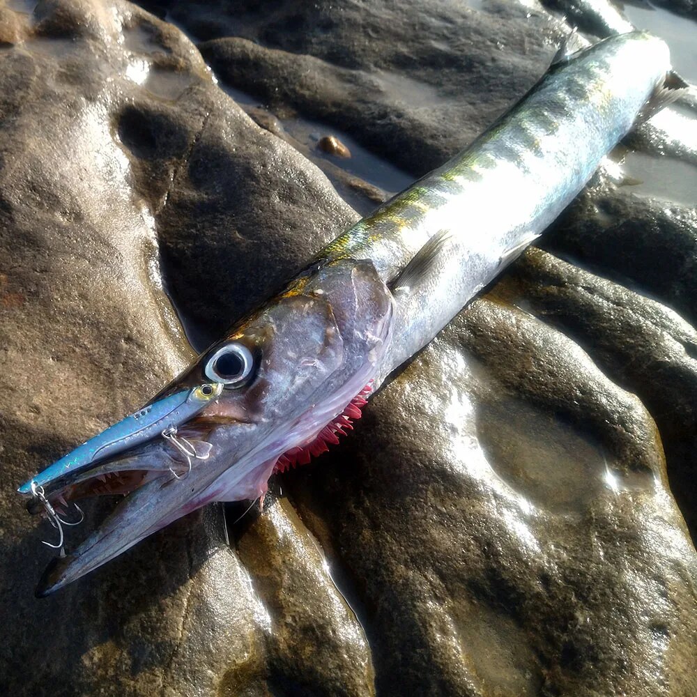 GOBAIT VIB Fishing Lure 20g 25 - Fishing Lure Blade Bait 리뷰 및 가격