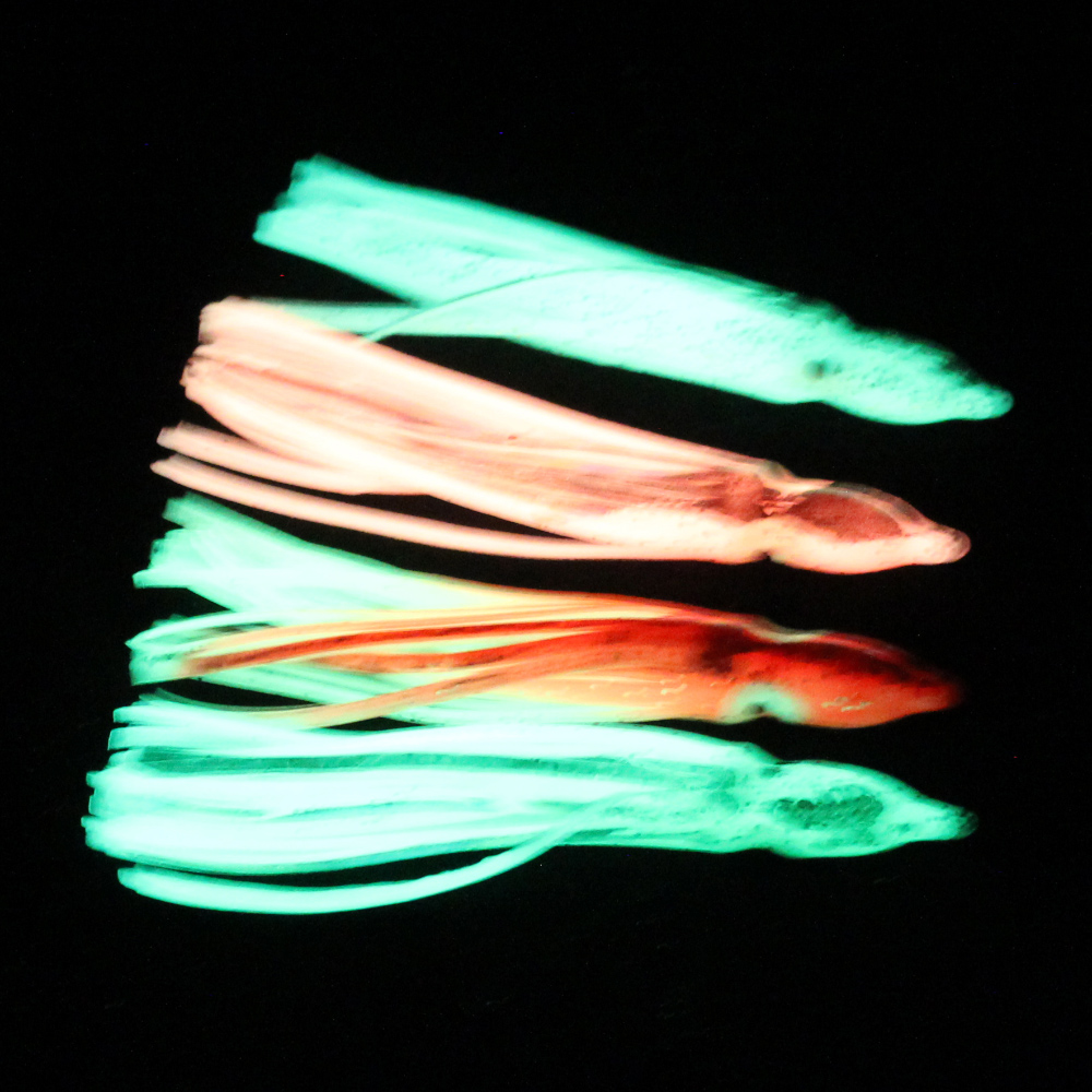 10 pcs soft light octopus squi - Fishing Lure Buzzbait 리뷰 및 가격