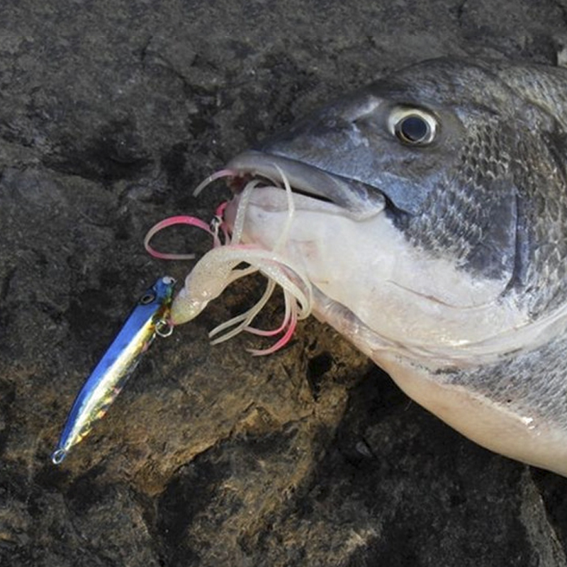 OBSESSION J25 Inchiku Squid Lu - Fishing Lure Buzzbait 리뷰 및 가격